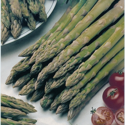 Picture of Asparagus Connover's Colossal